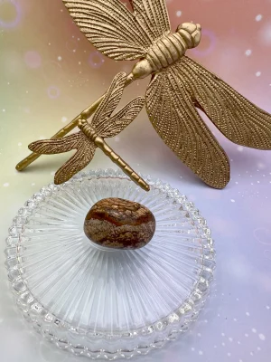 Pierre roulée en jaspe paysage entourée de libellules dorées – symbole d’ancrage, de calme et d’harmonie intérieure