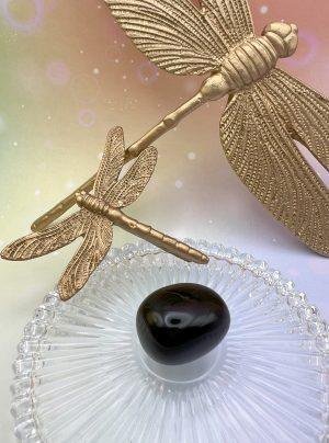 Pierre roulée en obsidienne noire sous une libellule dorée – symbole d’ancrage et de renaissance énergétique