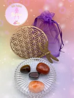 Kit Astro Bélier comprenant quatre pierres roulées, une fleur de vie en bois et un pochon violet, présenté sur fond pastel.