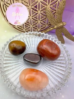 Gros plan sur les quatre pierres du Kit Astro Bélier : Cornaline, Oeil de tigre, Hématite et Jaspe rouge posées dans une coupelle rose.