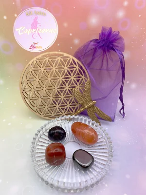 Kit Astro Capricorne avec quatre pierres roulées dans un pochon violet, accompagné d’une fleur de vie en bois et d’une libellule dorée.