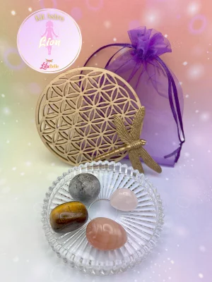 Kit Astro Lion présenté avec quatre pierres roulées dans une coupelle rose, une fleur de vie en bois et un pochon violet en arrière-plan.