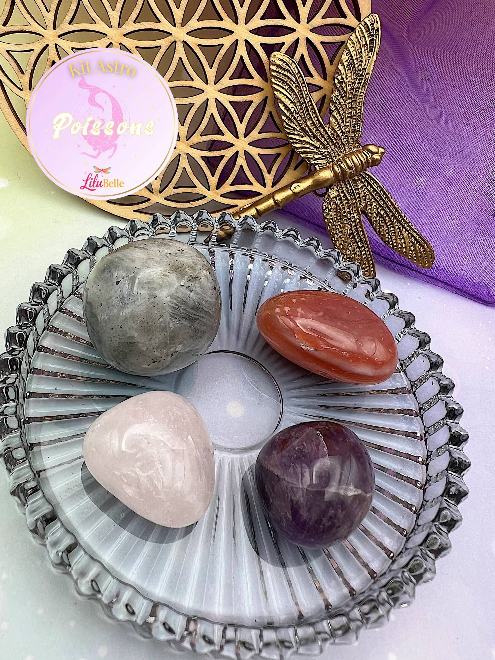 Kit Astro POISSONS - « Ta sensibilité est un don. Tu as juste besoin d’apprendre à ne plus te dissoudre dedans. » – Image 2