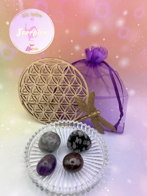 Kit Astro Scorpion avec quatre pierres roulées dans un pochon violet, accompagné d’une fleur de vie en bois et d’une libellule dorée.