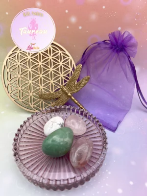 Kit Astro Taureau complet avec quatre pierres roulées, une fleur de vie en bois et un pochon violet, présenté sur fond pastel.