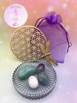 Kit Astro Vierge avec quatre pierres roulées visibles dans un pochon violet, accompagné d’une fleur de vie en bois et d’une libellule dorée.