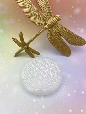 Plaque de sélénite ronde gravée fleur de vie, posée devant une libellule décorative dorée.